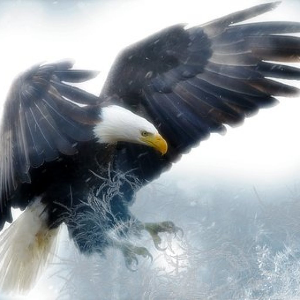 Discussion Topic for the Week of April 10 - Expose Your Limitations