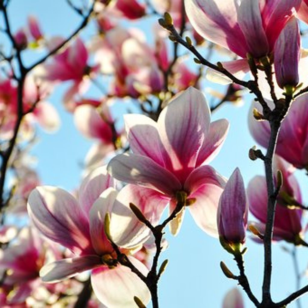 Discussion Topic for the Week of April 24 - Spring Has Sprung