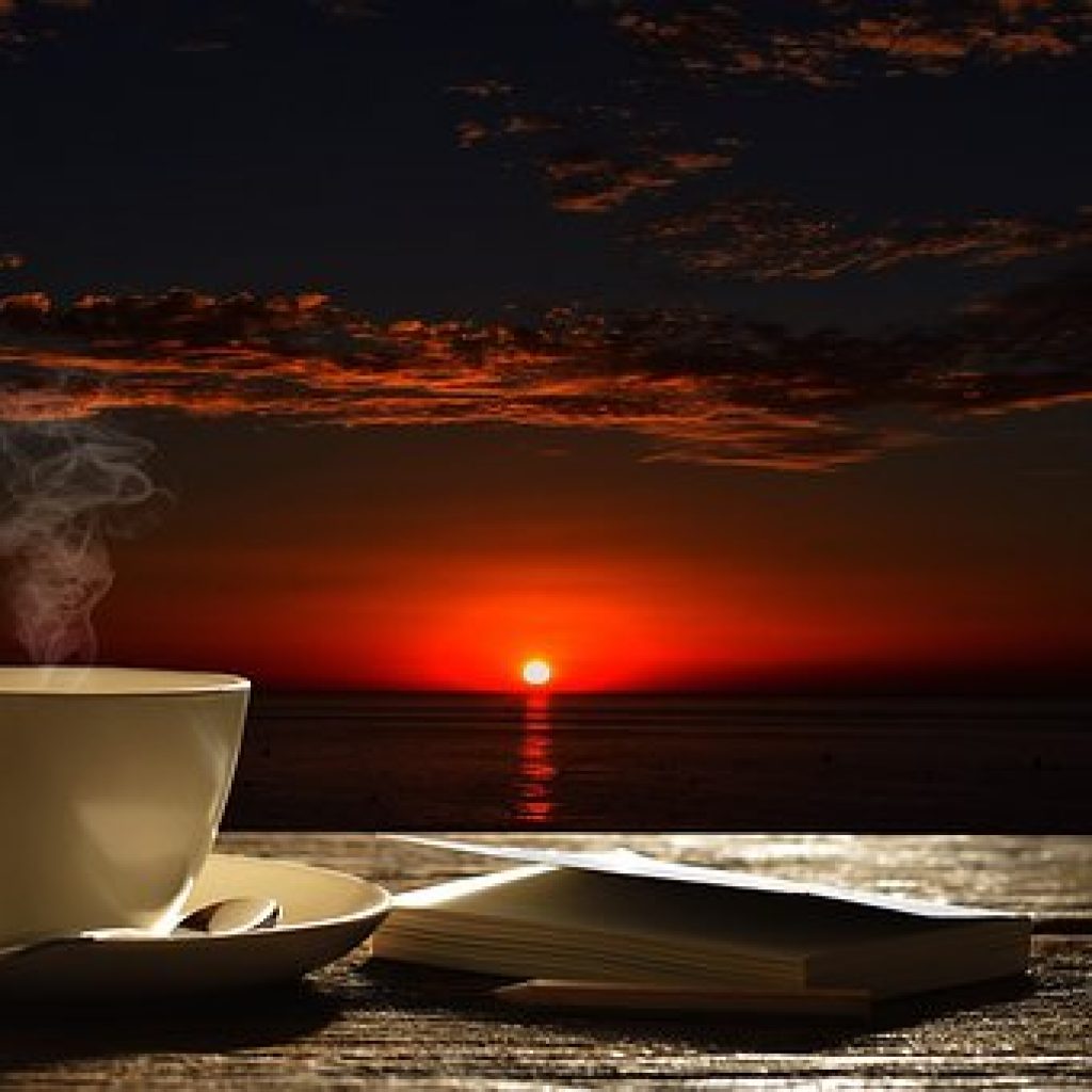 Discussion Topic for the Week of Aug. 20 - Visionary Gratitude