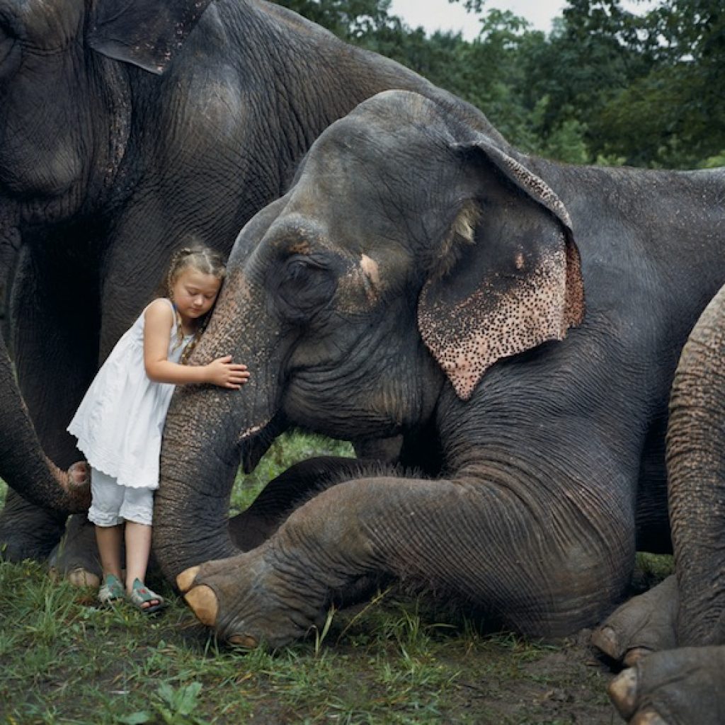 Love is Kind