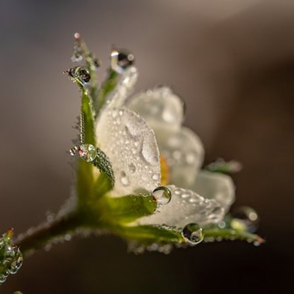 This Week's Topic - Spring Has Sprung