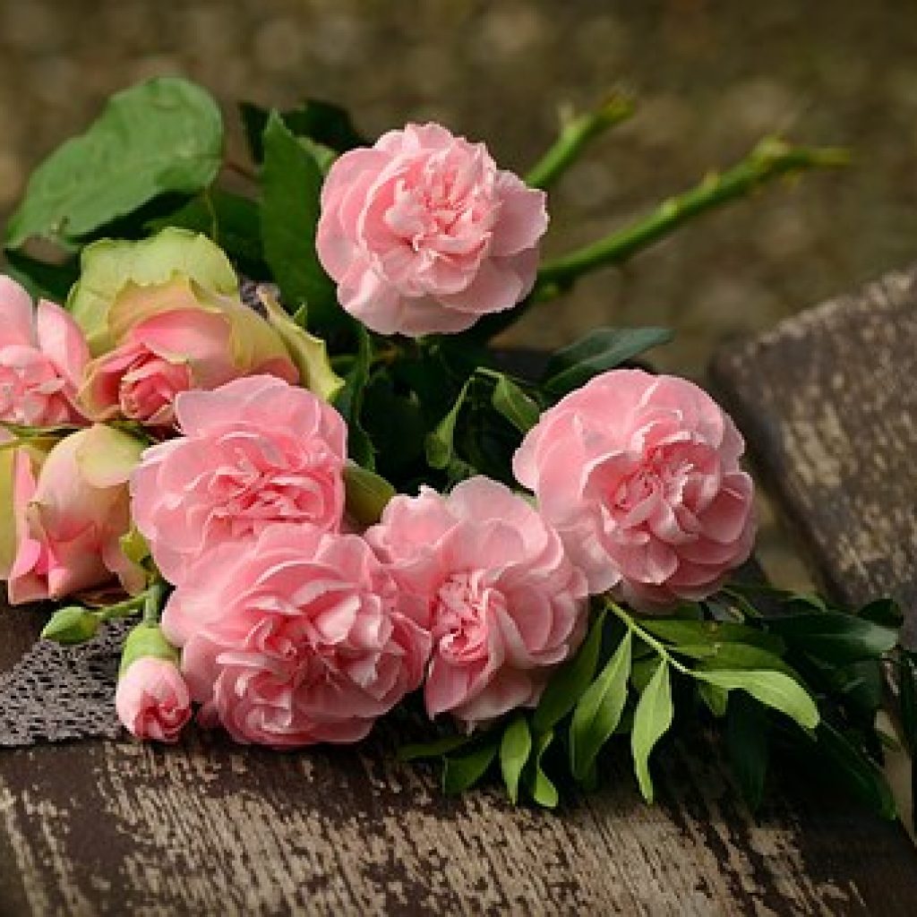 Discussion Topic for the Week of June 4 - Somewhere Some Flowers