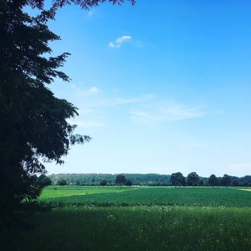The Bavarian Countryside Between My Toes