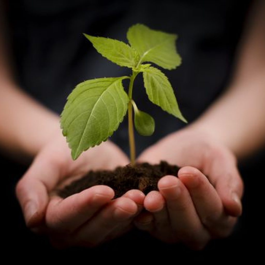 Self-Generosity: Open Your Heart to Yourself