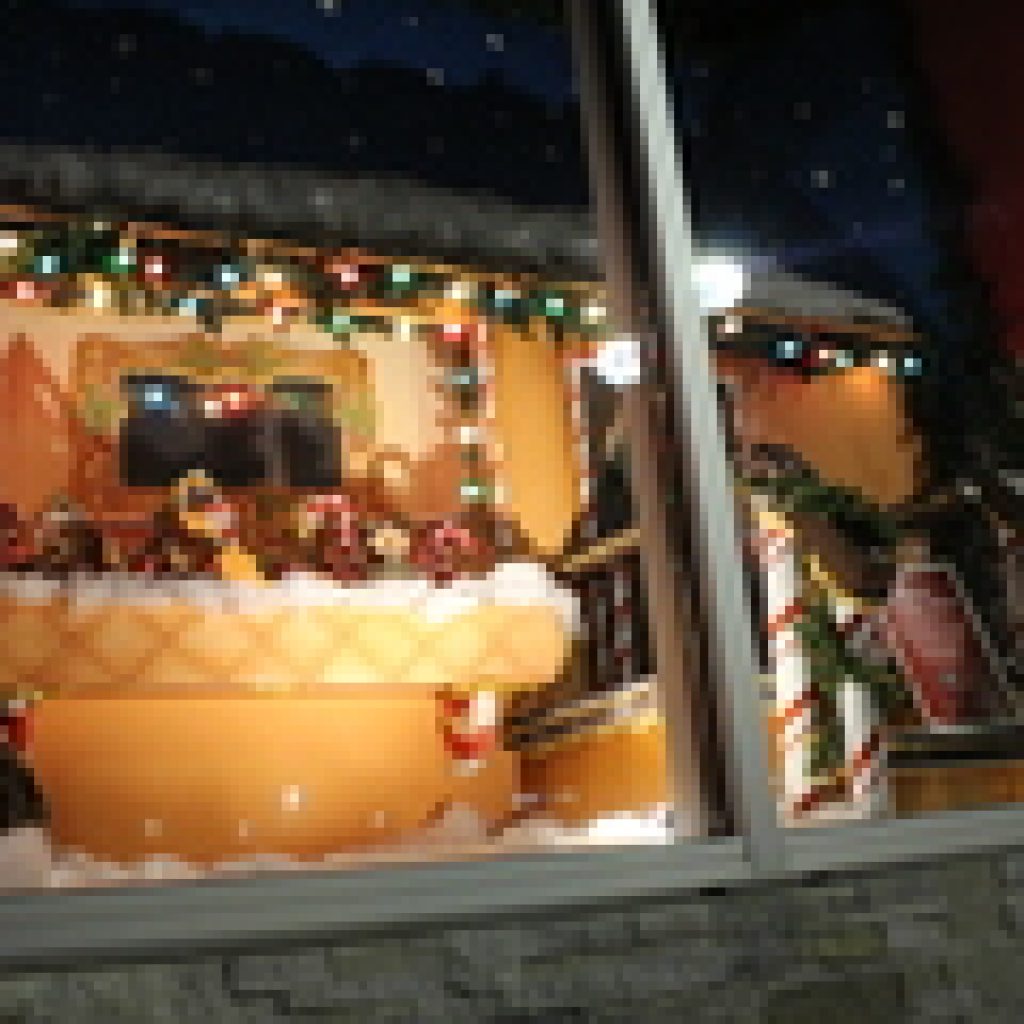 The Windows of Joy