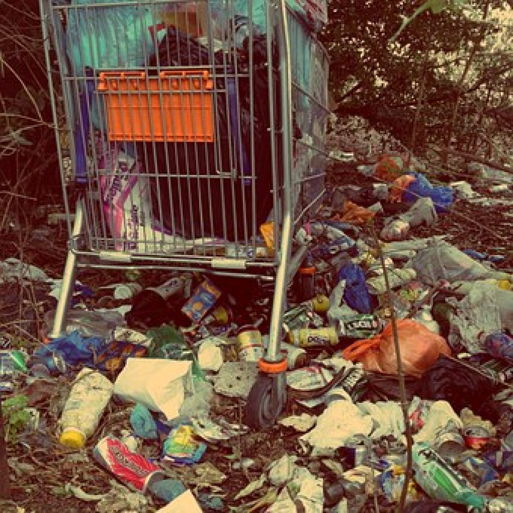 Garbage Patch