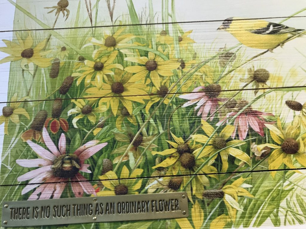 No Such Thing as an Ordinary Flower