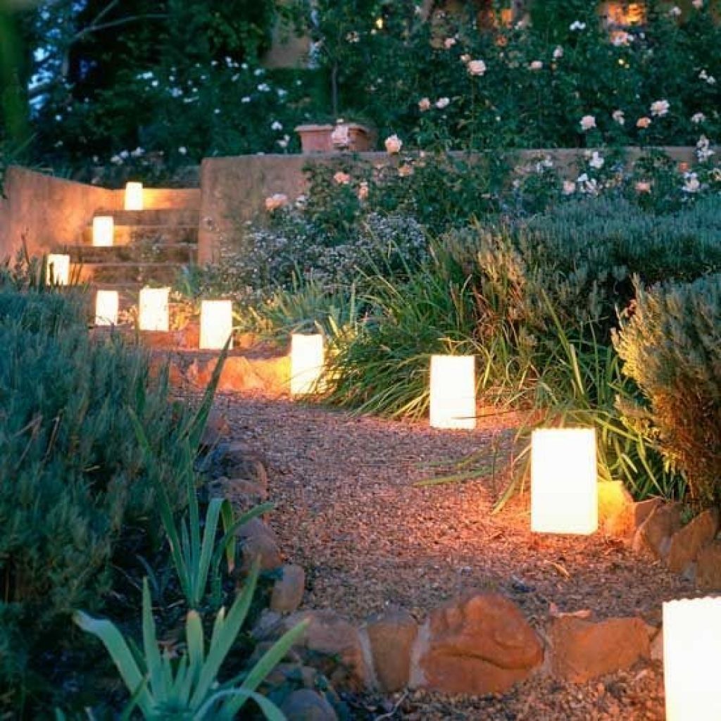 Lighting the Path