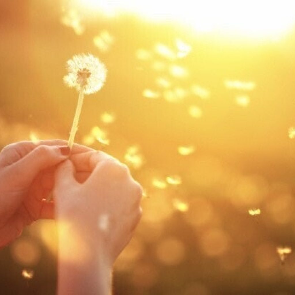Seeds of Creativity