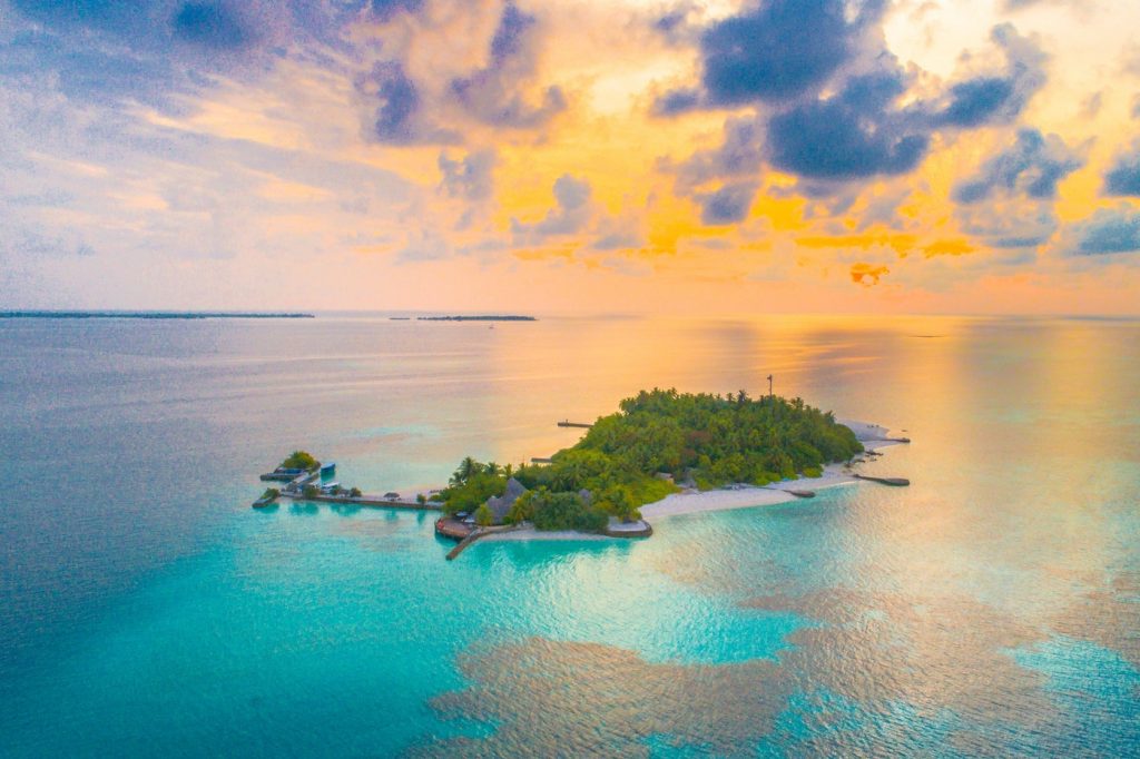 The Island