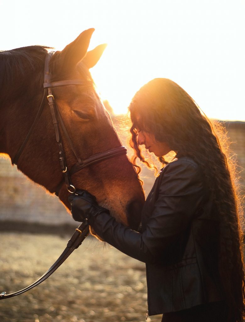 Like a Horse