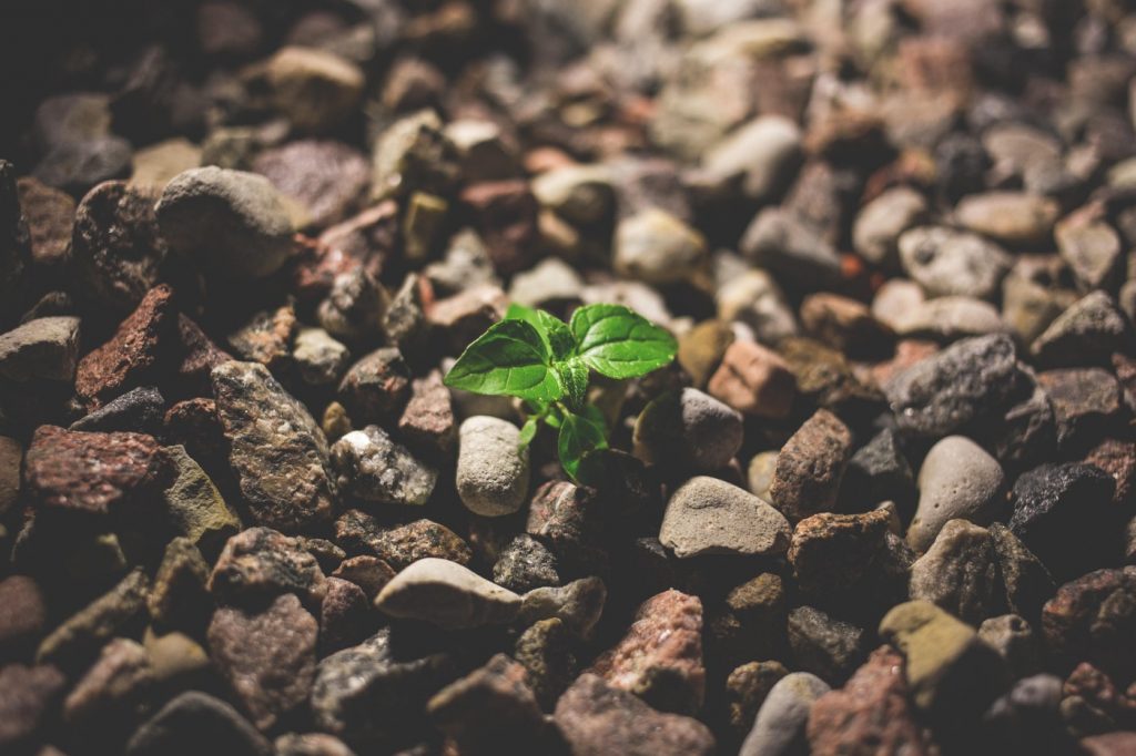 Make it About the Growth
