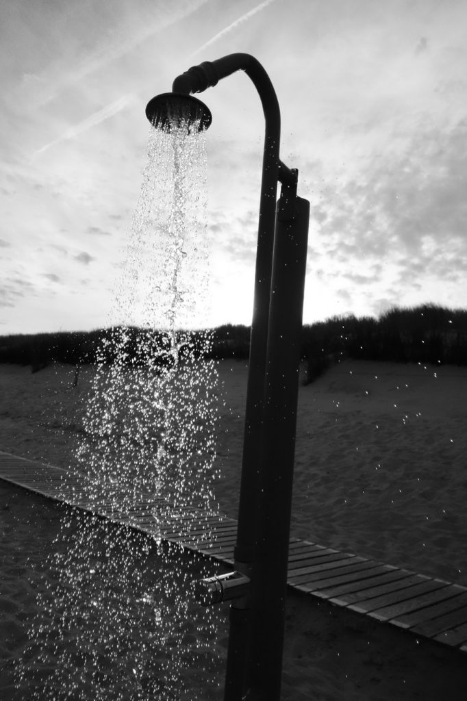 Shower Heading