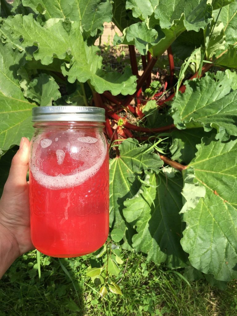 When the Garden Gives You Rhubarb, Make Lemonade