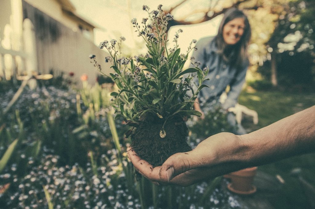 Plant it... in Your Garden Journal