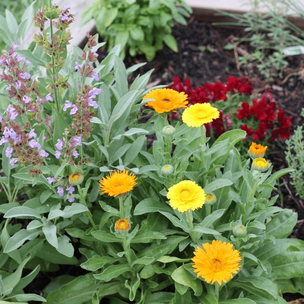 Simon and Garfunkel: The Victorious Gardener's Guide to Stuffing