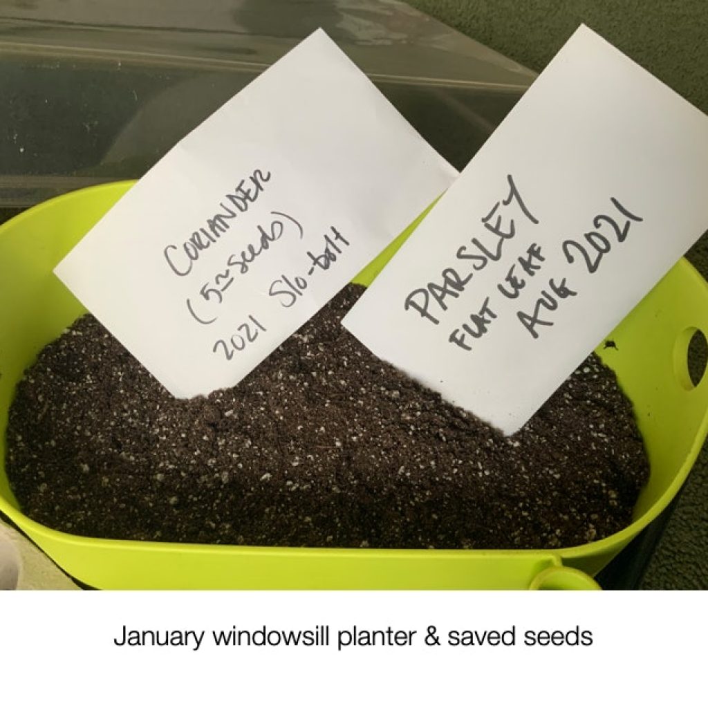 It's a Date! Seed Schedules and Personalised Almanacs